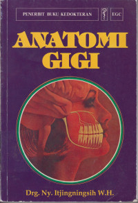 Anatomi Gigi